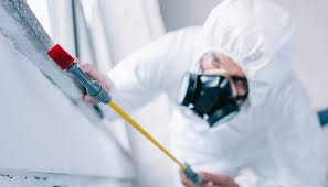 Best Commercial Pest Control  in Bedford Heights, OH